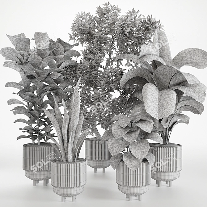 Tropical Houseplants in Stone Pots 3D model image 5