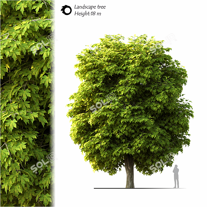 Majestic Landscape Tree 3D model image 1