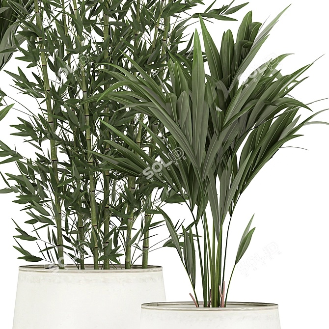Exotic Indoor Plant Collection 3D model image 5