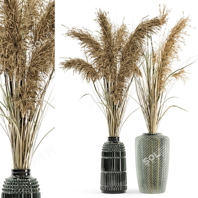 Elegant Dry Plant Bouquet in Glass Pot 3D model image 1