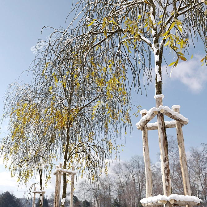 Winter Willow Tree Bundle: 3 Sizes, with Detachable Wooden Guard 3D model image 3