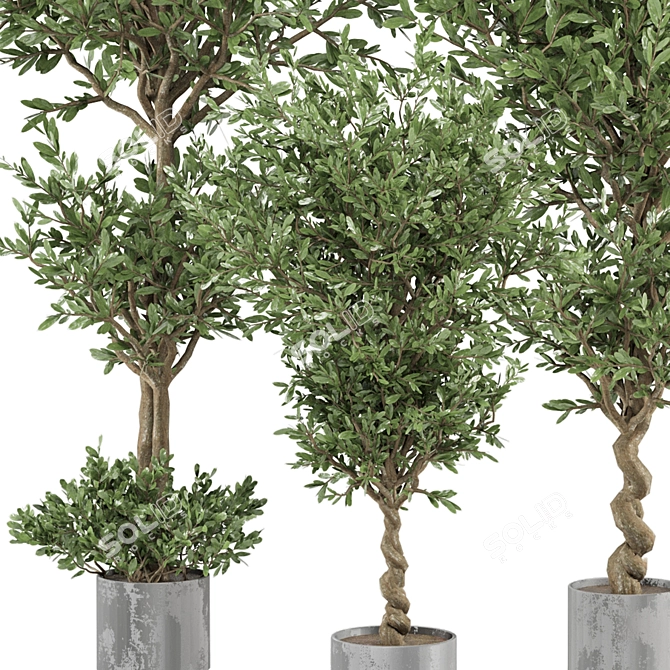 Ferm Living Bau Pot Large - Set 165: Stylish Indoor Plants 3D model image 3
