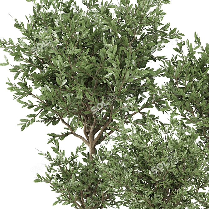 Ferm Living Bau Pot Large - Set 165: Stylish Indoor Plants 3D model image 4
