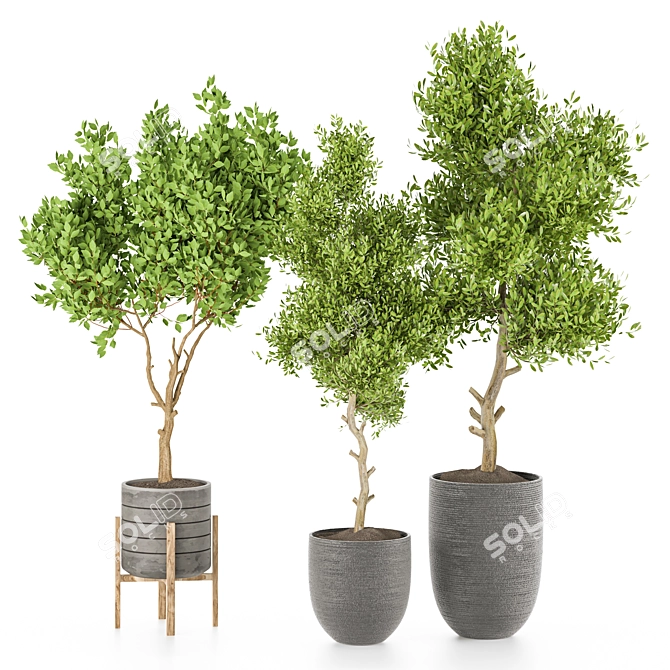 Outdoor Plant Vol 27 - High-Quality Indoor/Outdoor Greenery 3D model image 1