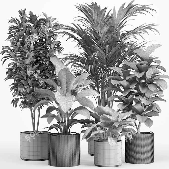 Tropical Rattan Plant Set 3D model image 4