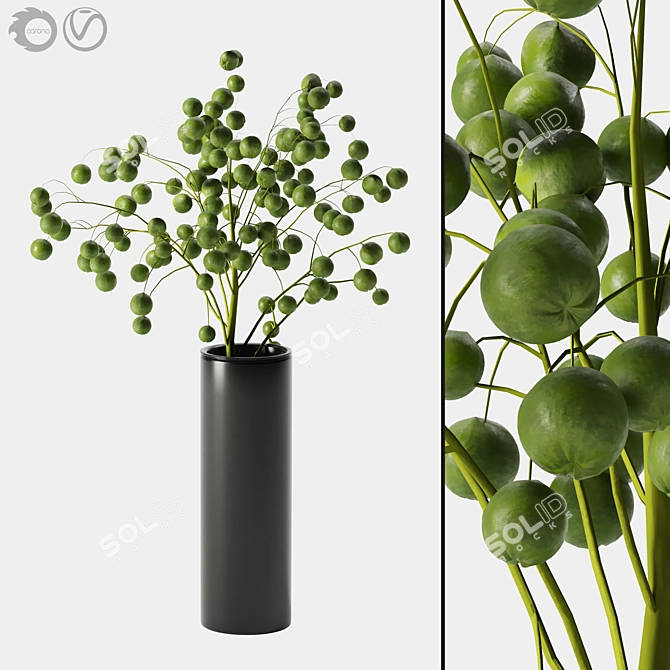 Indoor Plant 05: Natural Beauty for Any Space 3D model image 1