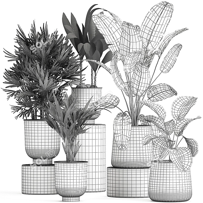 Tropical Plant Collection: Exotic and Indoor Plants 3D model image 6