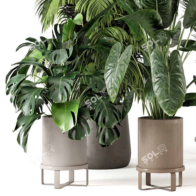 Ferm Living Bau Pot Large - Set of Indoor Plants 3D model image 2