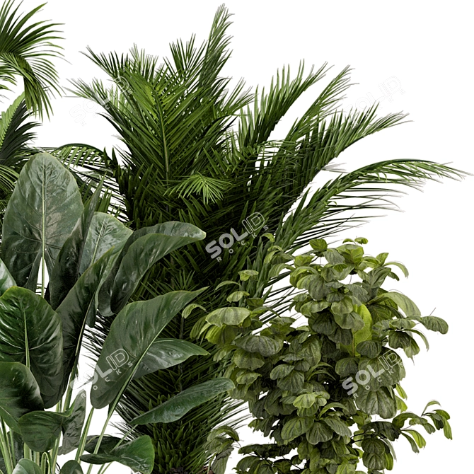 Ferm Living Bau Pot Large - Set of Indoor Plants 3D model image 5