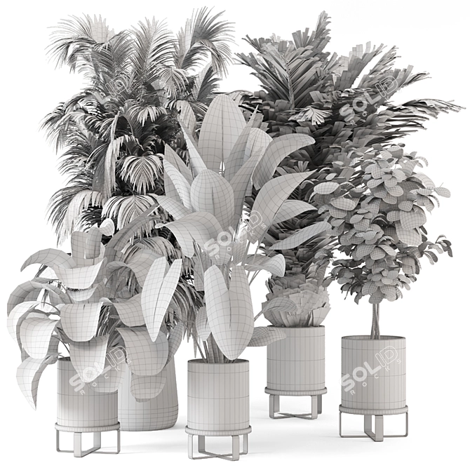Ferm Living Bau Pot Large - Set of Indoor Plants 3D model image 7