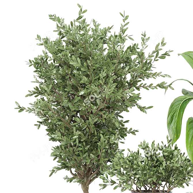 Indoor Greenery Set | Ferm Living Bau Pot Large 3D model image 4