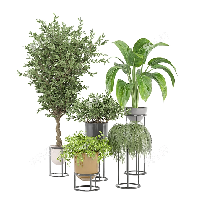 Indoor Greenery Set | Ferm Living Bau Pot Large 3D model image 5