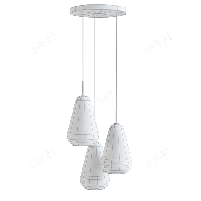 Nuura Anoli 3 Pendant Light 3D model image 2