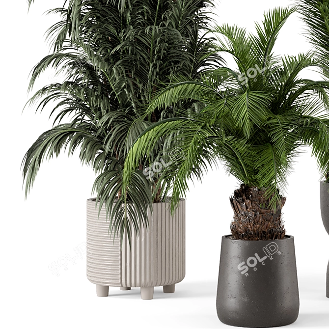 Rustic Concrete Pot Plant Set 3D model image 2