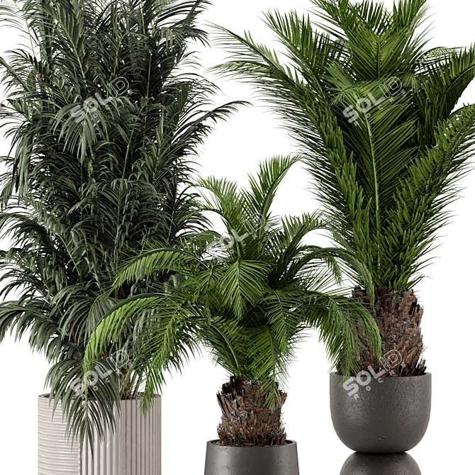 Rustic Concrete Pot Plant Set 3D model image 4