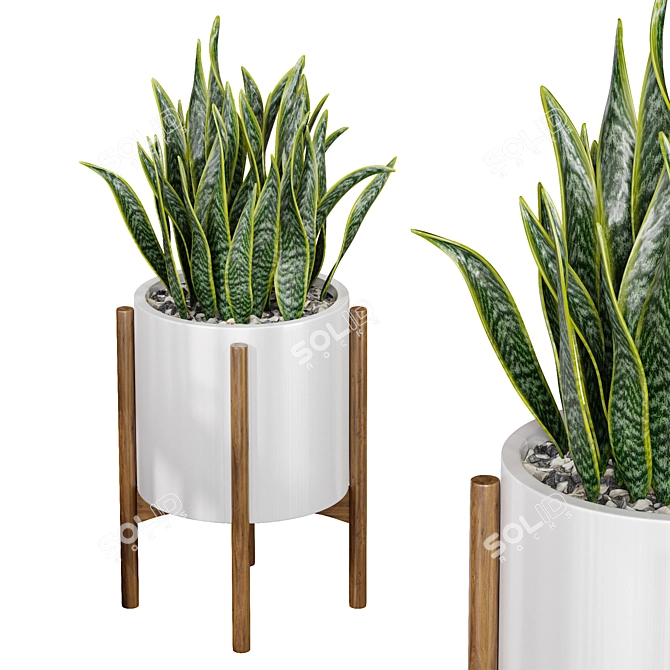 Office Snake Plant: 3D Model 3D model image 1