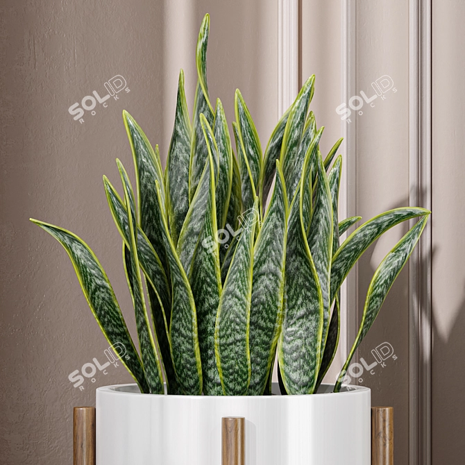 Office Snake Plant: 3D Model 3D model image 3