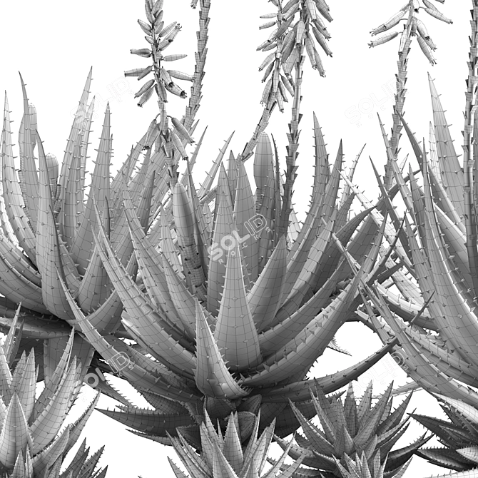 Crosbys Prolific Aloes: Versatile, High-Quality 2013 3D Model 3D model image 7