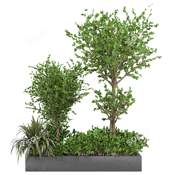 Beautiful Outdoor Plant Collection 3D model image 1