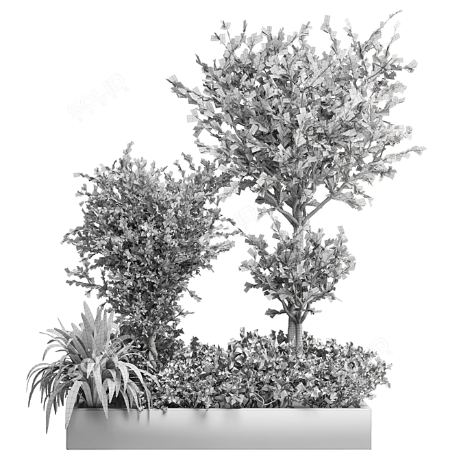 Beautiful Outdoor Plant Collection 3D model image 6