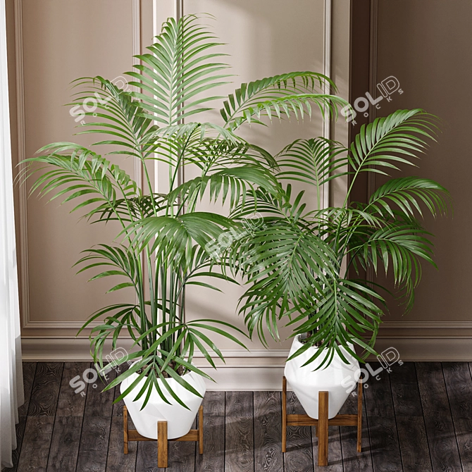 Kentia Marius: Premium House Plant 3D model image 2