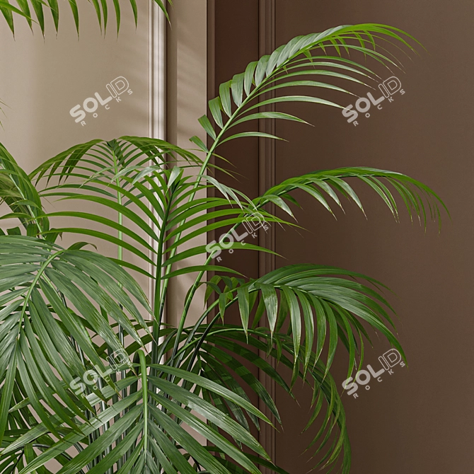 Kentia Marius: Premium House Plant 3D model image 3