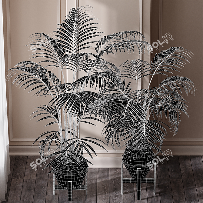 Kentia Marius: Premium House Plant 3D model image 5