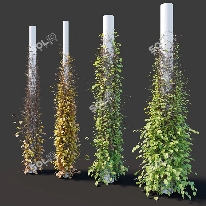 Versatile Vine Plants for Columns 3D model image 2