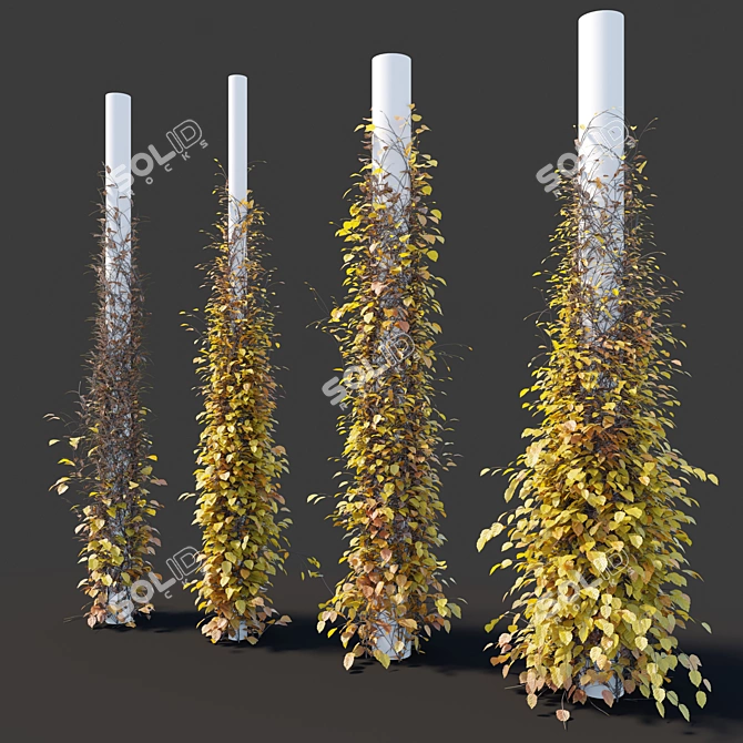 Versatile Vine Plants for Columns 3D model image 5