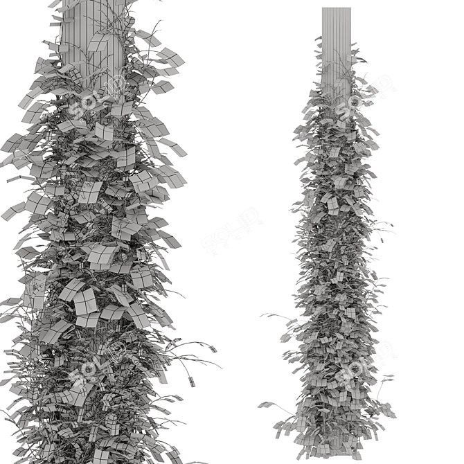 Versatile Vine Plants for Columns 3D model image 6