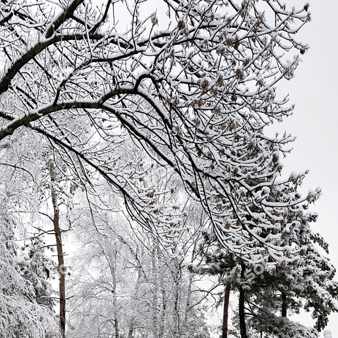 Winter Wonderland HDRI Pack 3D model image 6