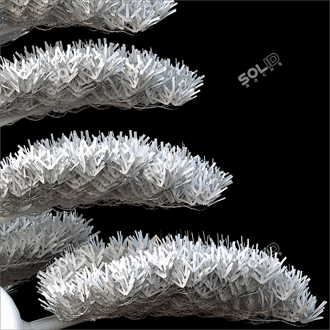 Macrophyllus Podocarpus 2014: 3D Model with High Polys 3D model image 3