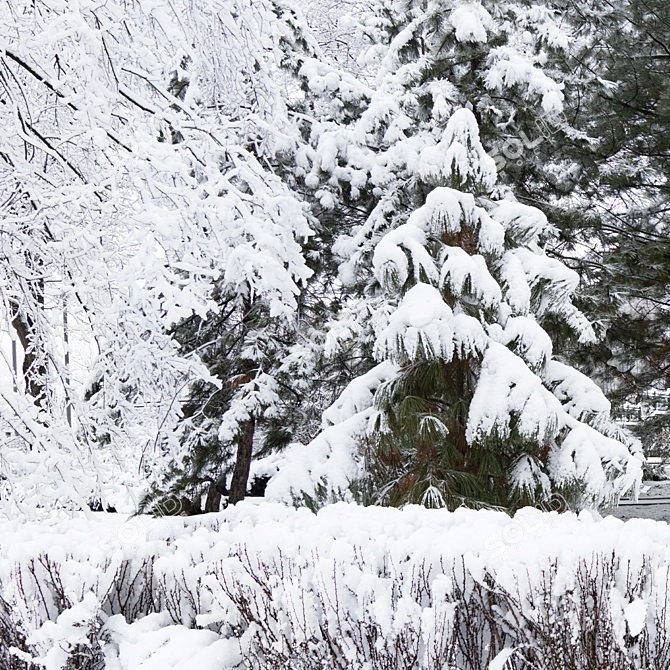 Winter Wonderland: Park Panorama 3D model image 2