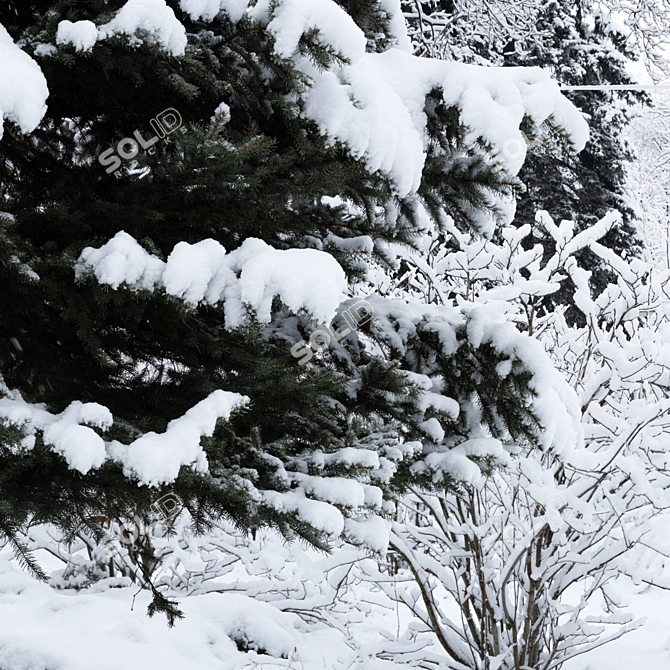 Winter Twigs Panorama. High-Res Image. 3D model image 2