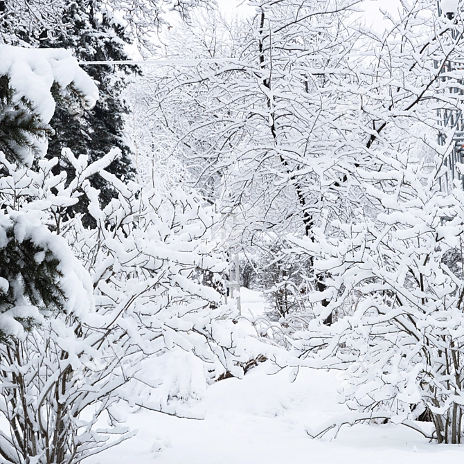 Winter Twigs Panorama. High-Res Image. 3D model image 3