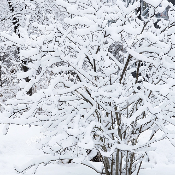 Winter Twigs Panorama. High-Res Image. 3D model image 4