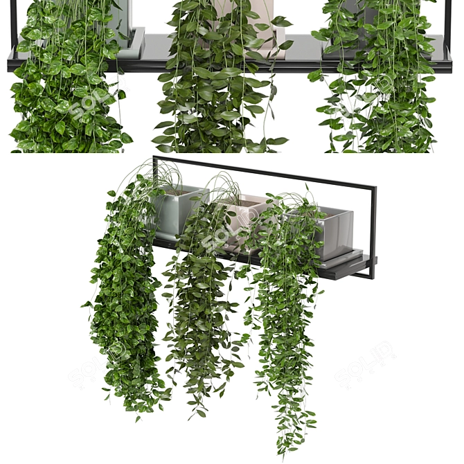 Metal Shelf with Hanging Plants - Set 170 3D model image 2