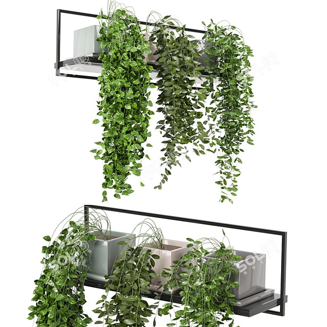 Metal Shelf with Hanging Plants - Set 170 3D model image 3