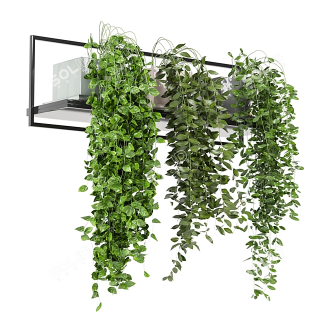 Metal Shelf with Hanging Plants - Set 170 3D model image 5