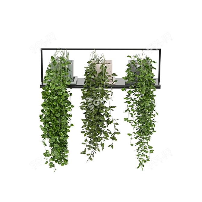 Metal Shelf with Hanging Plants - Set 170 3D model image 6