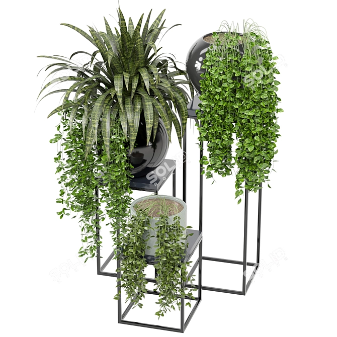 Indoor Greenery Collection - Set 171 3D model image 6