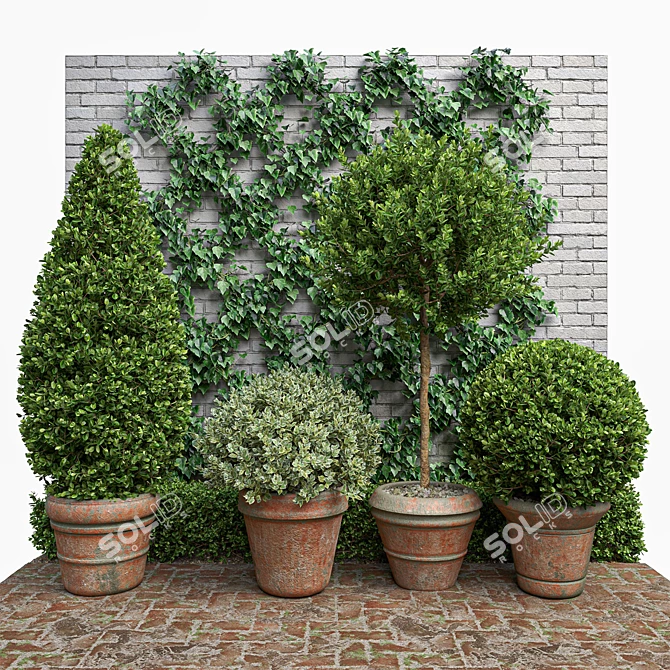 Natural Greenery Set: Boxwood, Dogwood, Ivy 3D model image 1