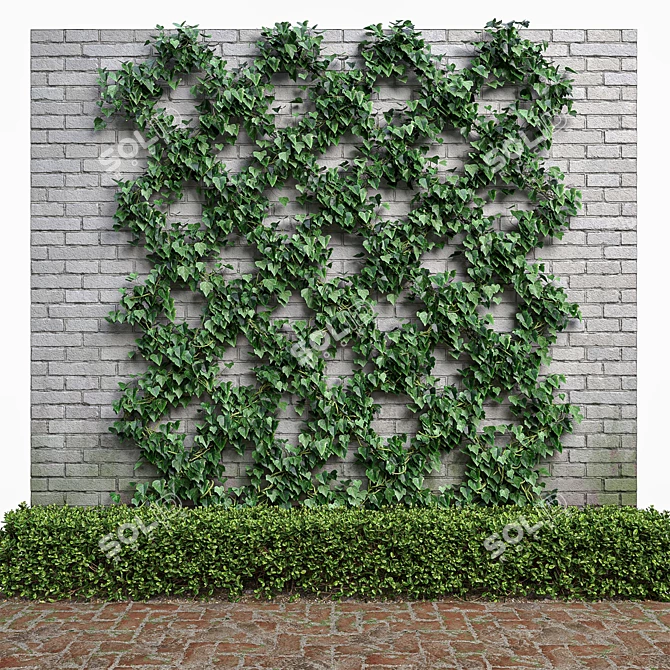 Natural Greenery Set: Boxwood, Dogwood, Ivy 3D model image 4