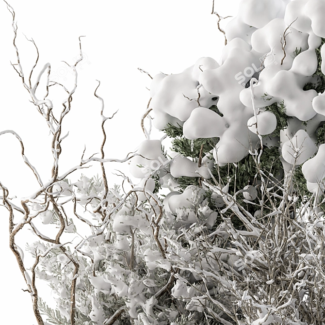 Snowy Dried Plant Bush - Set of 60 3D model image 2