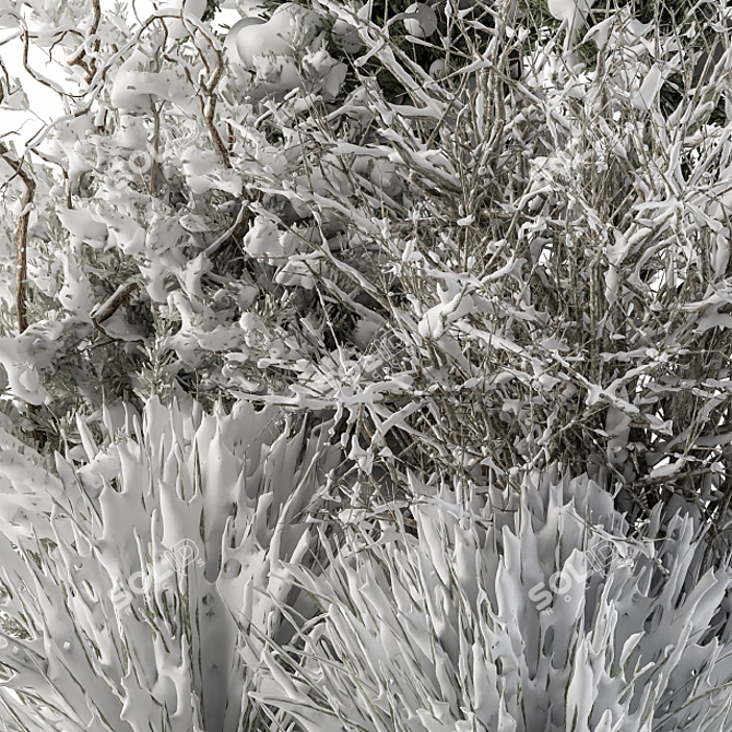 Snowy Dried Plant Bush - Set of 60 3D model image 3