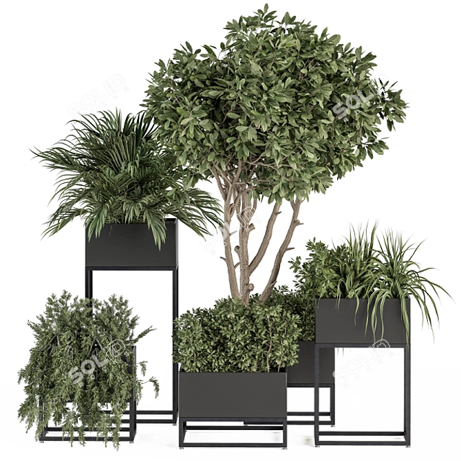 Stylish Black Box Plant Set 3D model image 1