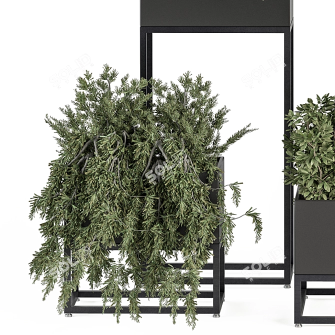 Stylish Black Box Plant Set 3D model image 2