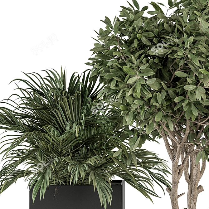 Stylish Black Box Plant Set 3D model image 3