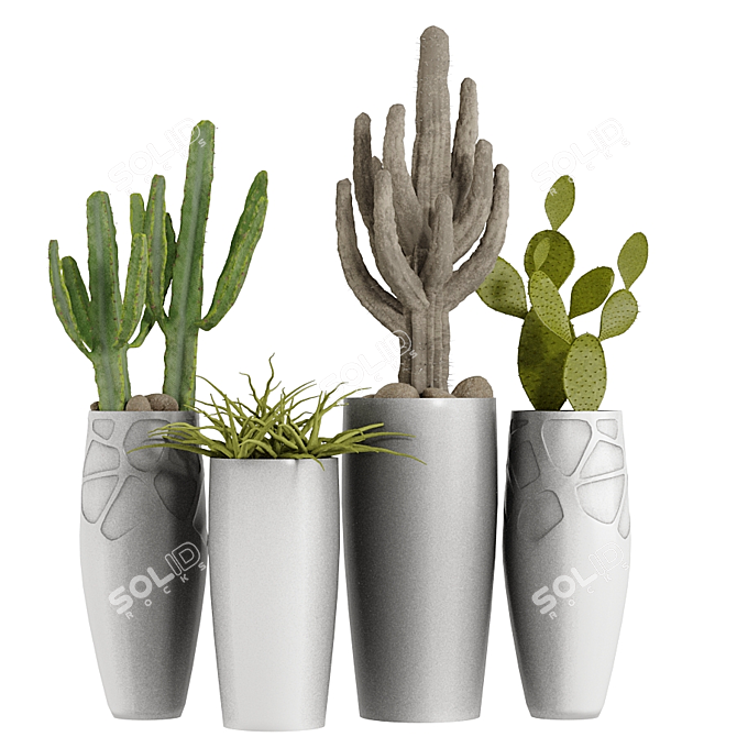 Desert Vibes: 3 Cactus & Tropical Plants 3D model image 1