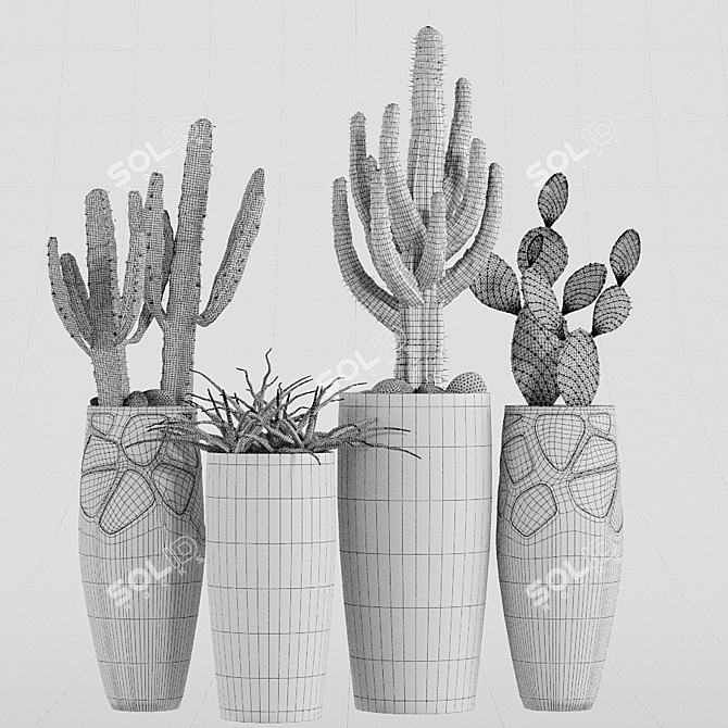 Desert Vibes: 3 Cactus & Tropical Plants 3D model image 3